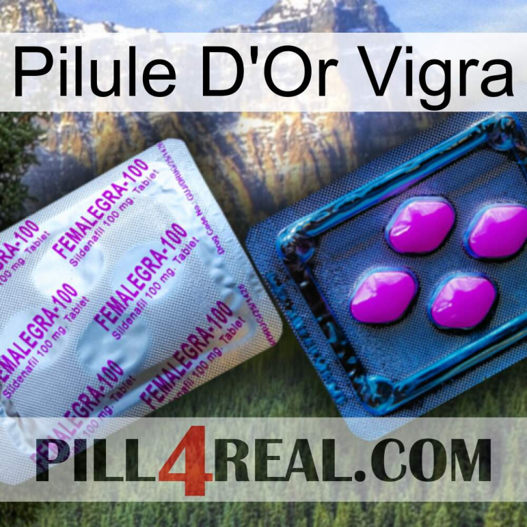 Vigra Gold Pill 37